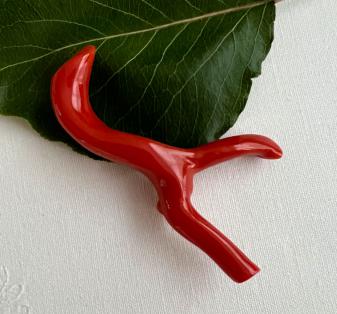 coralbrooch