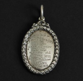 bullmedal
