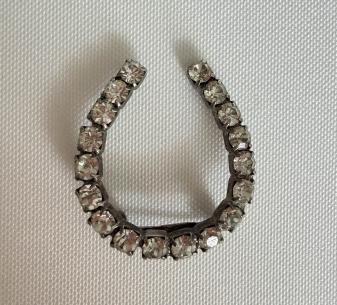 rhinestonehorseshoe