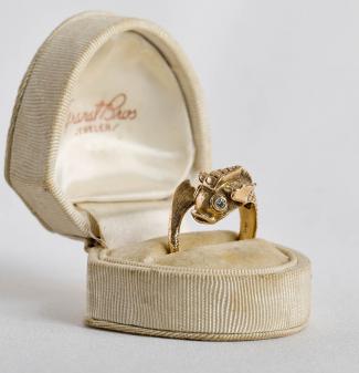 dolphinring