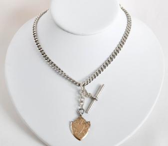 shieldfobnecklace
