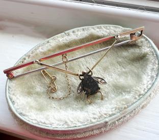 bugbrooch