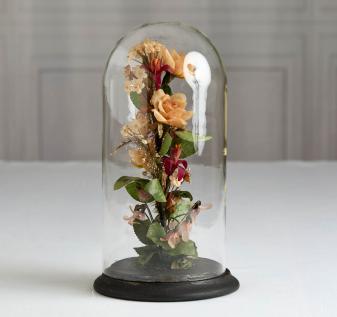 waxflowers